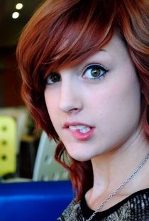 Busty brunette sucking