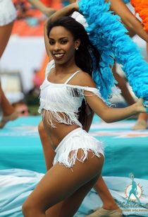 Fabulous cougar in a